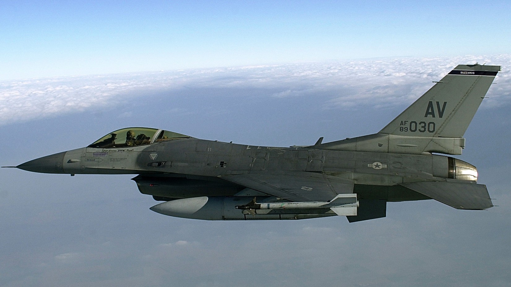 General Dynamics F-16 Fighting Falcon Image